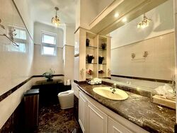 Raffles Park (D11), Detached #491299941